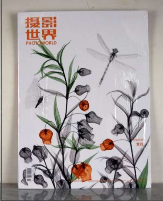 摄影世界